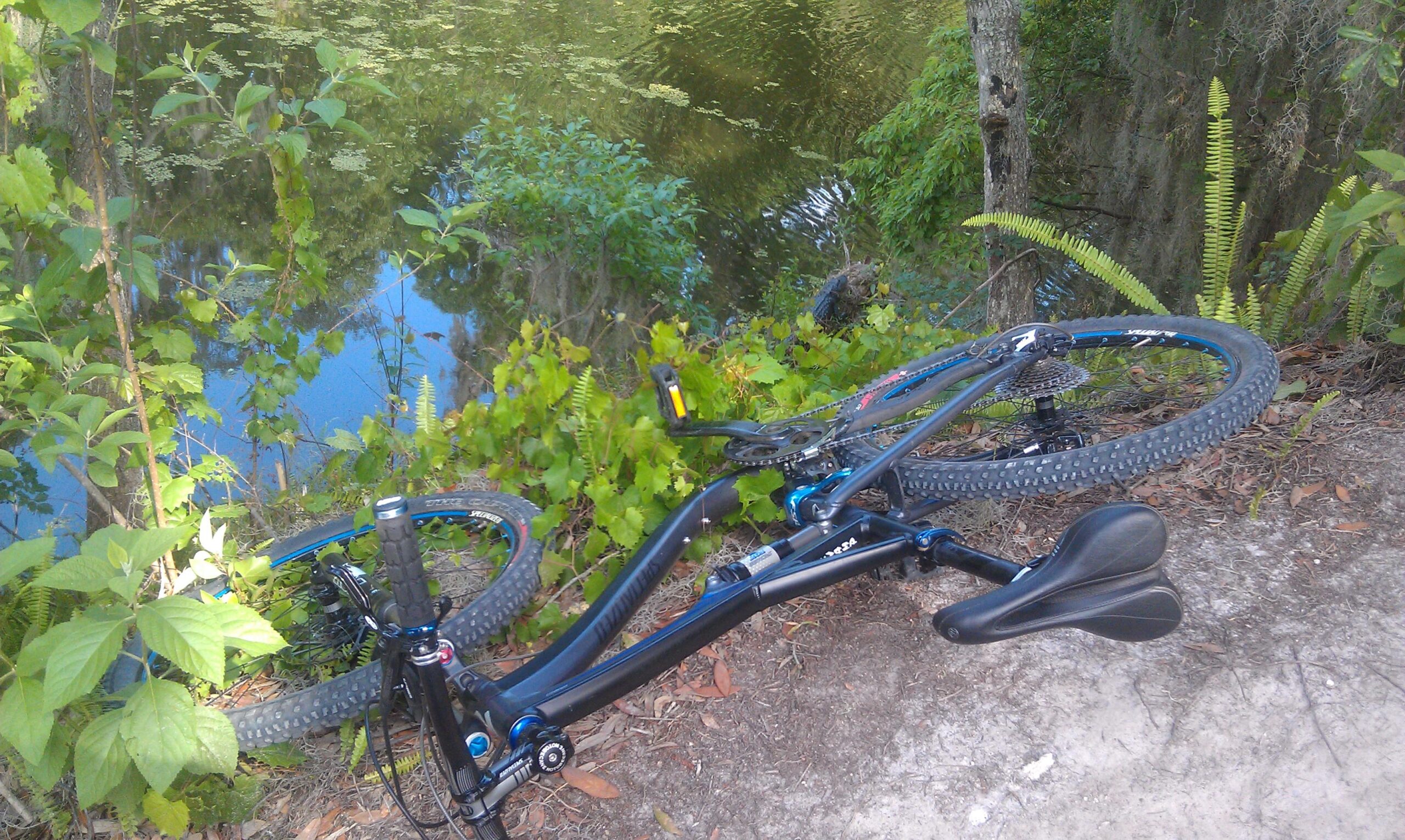 Specialized Camber Pro: A blue mountain bike lies on its side near a calm body of water, surrounded by green foliage and trees. The bike's wheels are partially submerged in grass and leaves, reflecting the peaceful setting of the natural environment.