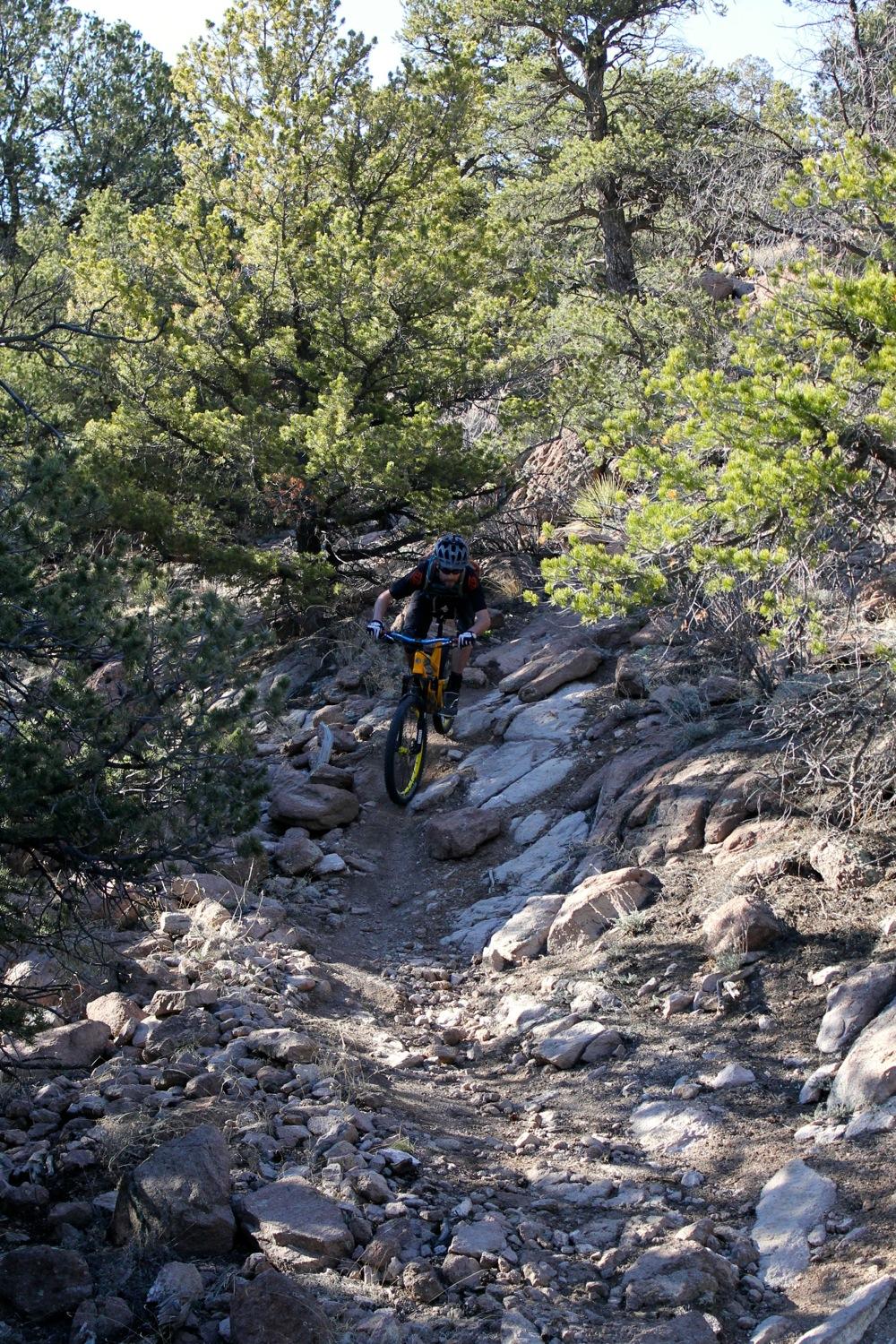 A mountain biker navigating a rocky trail surrounded by dense greenery. The rider is airborne as they traverse the uneven terrain, showcasing an adventurous and dynamic biking experience in a natural outdoor setting. Unkle Nazty mountain bike trail.