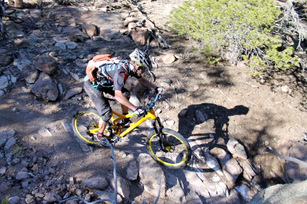 A mountain biker navigating a rocky trail, wearing a helmet and a backpack, with a focus on stability and control as they maneuver over the uneven terrain. Sunlight filters through the trees, casting shadows on the ground. Unkle Nazty mountain bike trail.