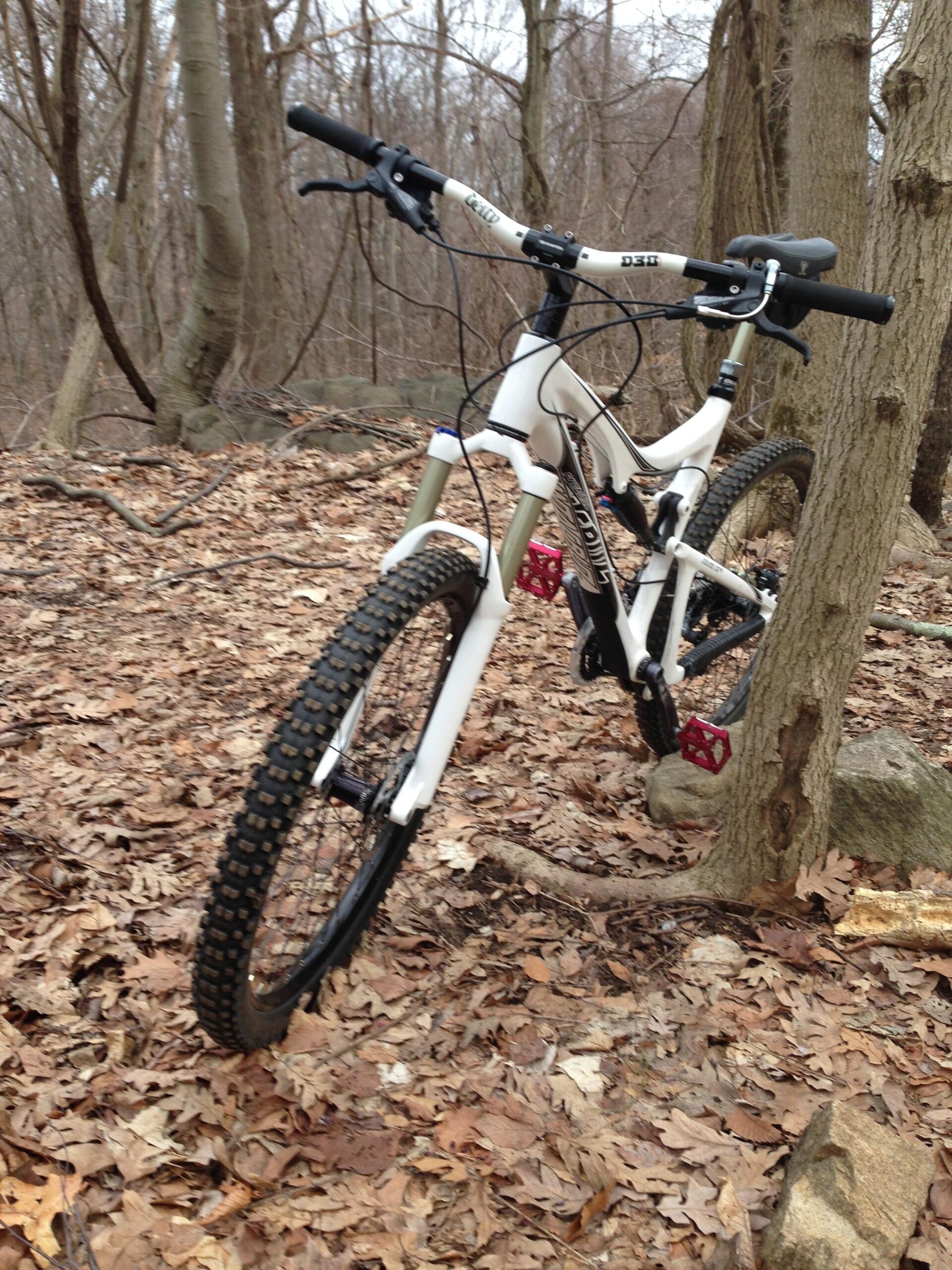 Santa Cruz Blur LT: A white mountain bike is leaning against a tree in a wooded area, surrounded by fallen leaves and bare branches. The bike's tires are designed for off-road terrain, and it features a red pedal. The background includes small rocks and tree trunks, indicative of a natural, outdoor setting.