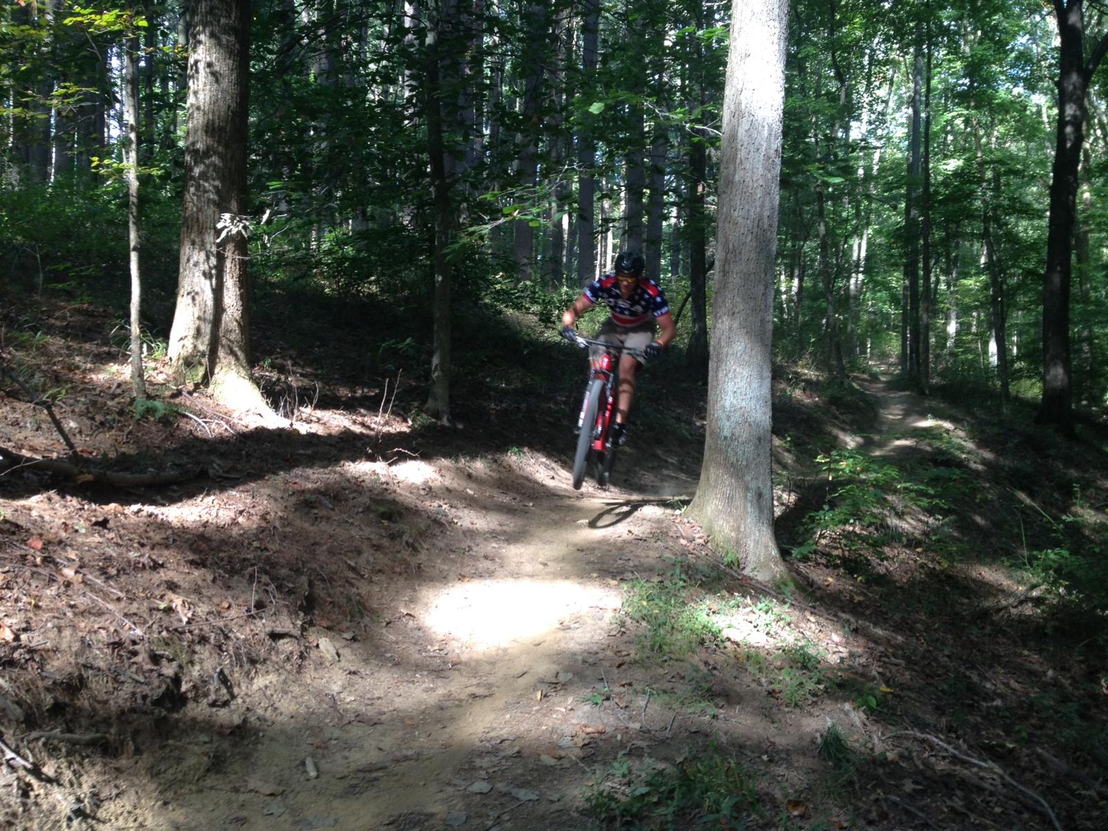 A mountain biker in mid-air jumps off a dirt trail surrounded by tall trees in a forest. The path is illuminated by sunlight filtering through the foliage, highlighting the natural setting. Brown County Park mountain bike trail.