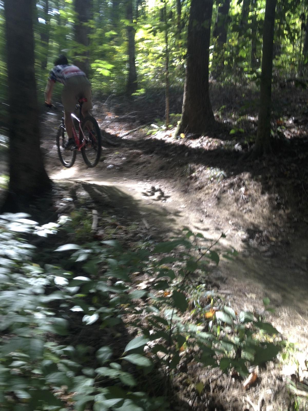 A mountain biker in motion on a dirt trail surrounded by trees and greenery, capturing the excitement of riding through a forested area. Sunlight filters through the leaves, creating a dynamic play of light and shadow on the trail. Brown County Park mountain bike trail.