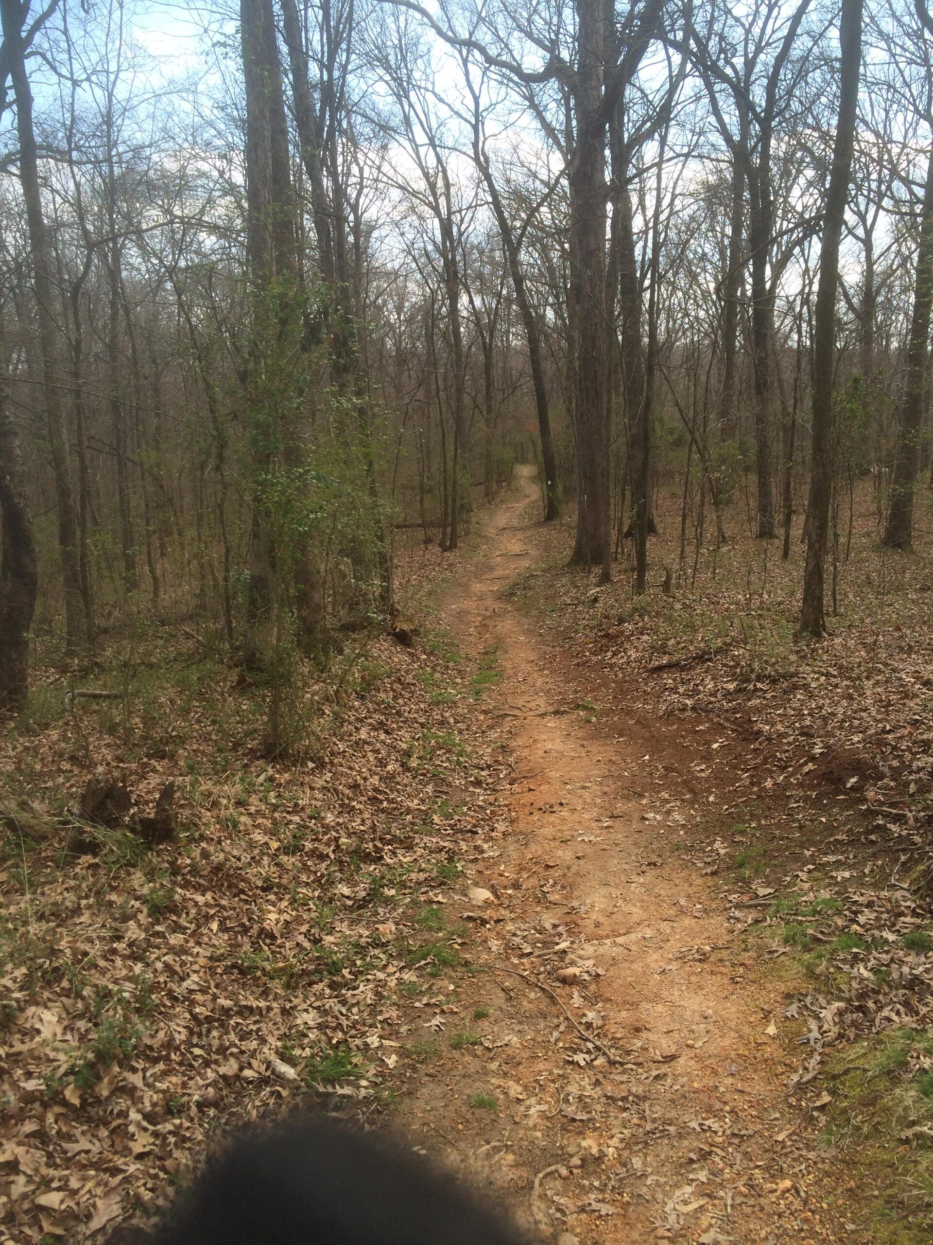 A winding dirt trail through a leaf-strewn forest, with bare trees and sparse greenery under a cloudy sky. The path leads into the distance, inviting exploration. Wildwood Trails mountain bike trail.