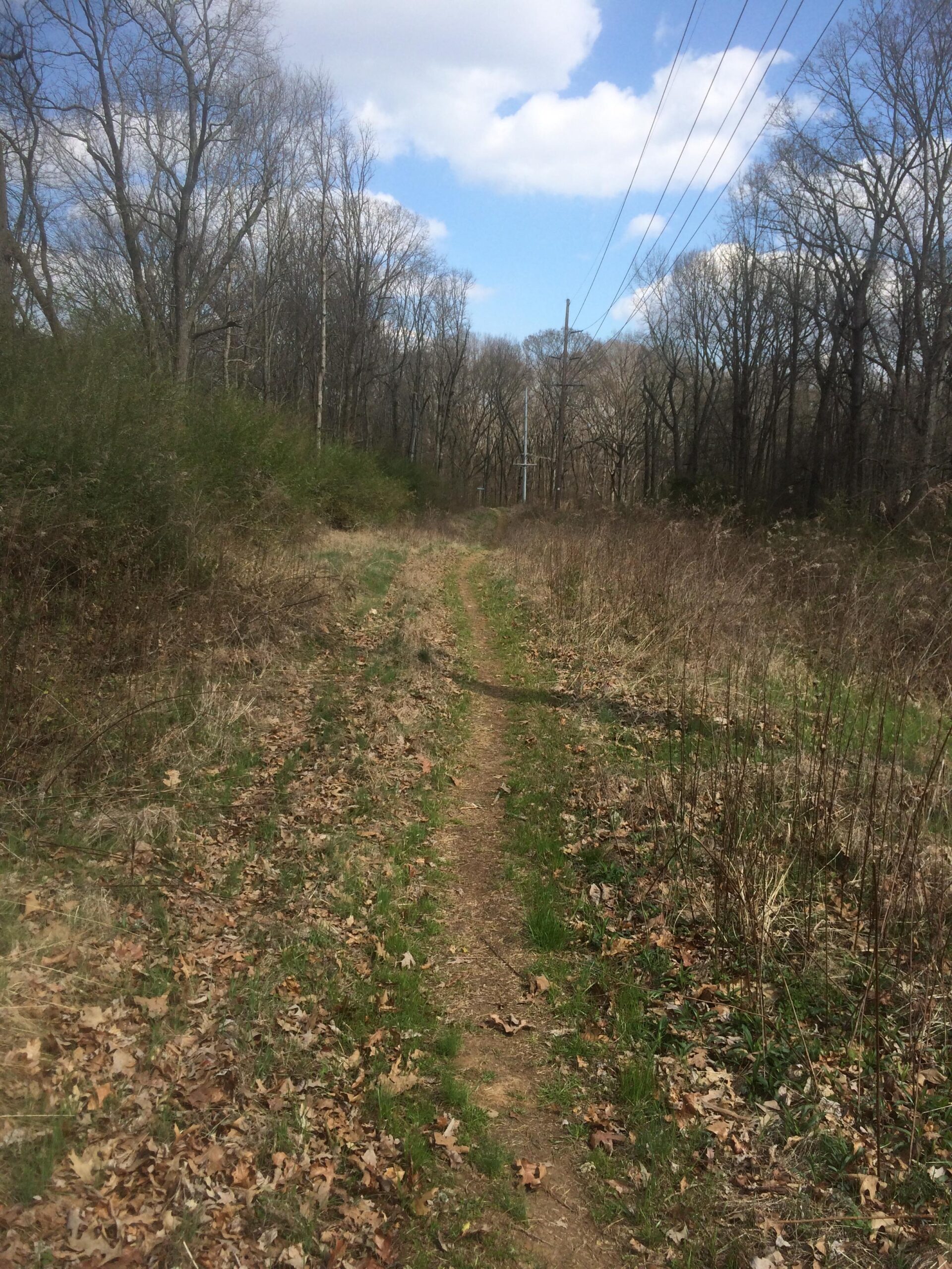 A dirt path winding through a woodland area, flanked by bare trees and patches of grass, under a partly cloudy sky. Utility poles are visible in the background. Wildwood Trails mountain bike trail.