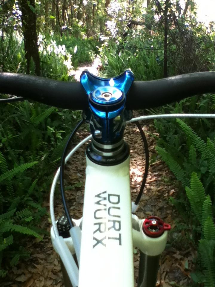 A view from the handlebars of a mountain bike, showcasing a blue headset and the bike's frame, marked with the text "DURT WURX." The background features a lush, green forest path with ferns and dappled sunlight filtering through the trees, indicating a natural outdoor setting. Mount Dora Trail mountain bike trail.