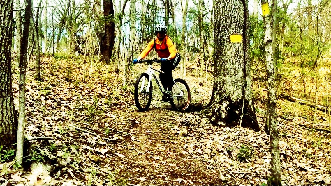 A mountain biker navigates a trail in a wooded area, surrounded by trees and fallen leaves. The cyclist is wearing a helmet and bright orange clothing, leaning slightly forward on their bike as they maneuver around a large tree with a yellow trail marker on its trunk. Wildwood Trails mountain bike trail.