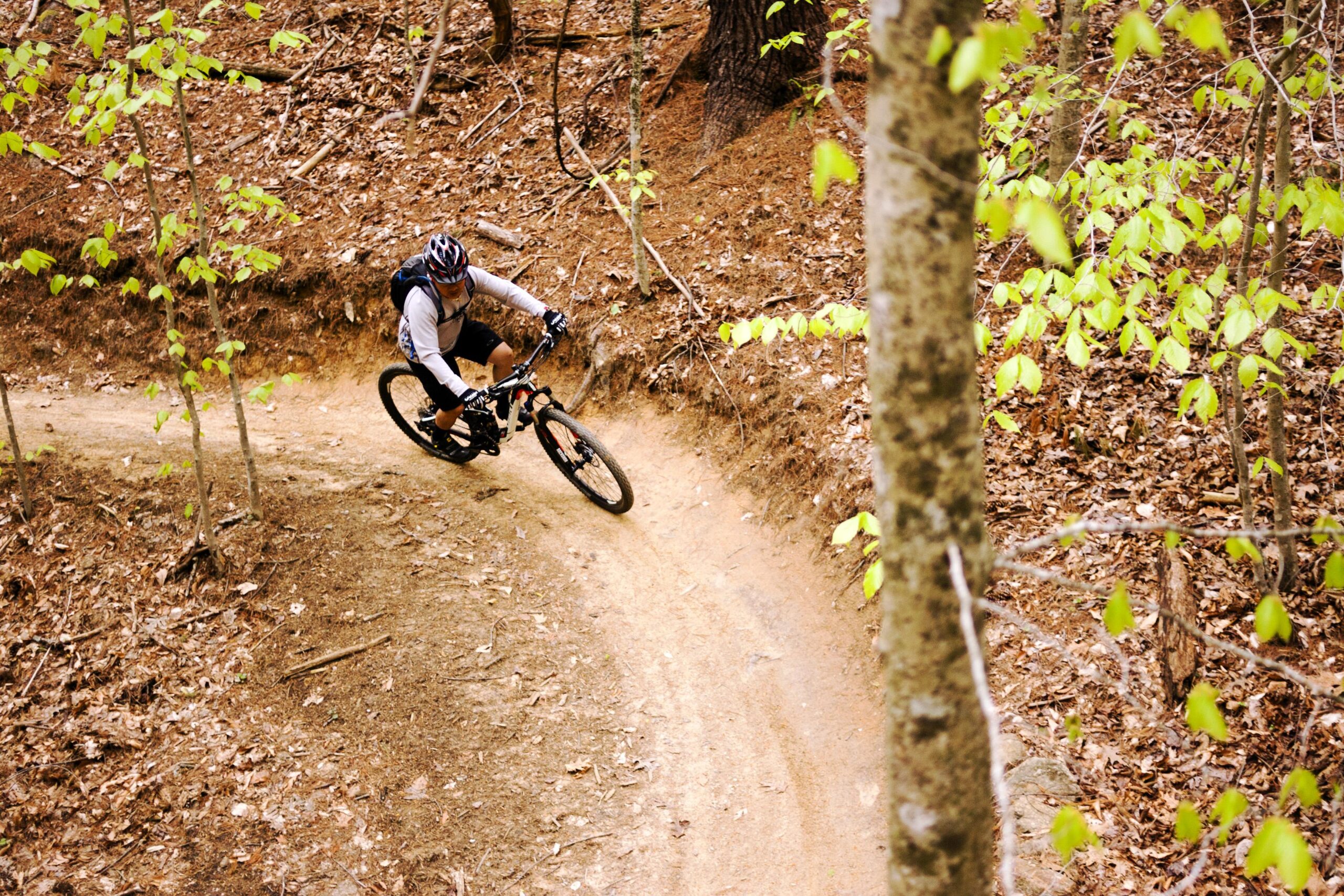 A mountain biker navigating a winding dirt trail through a forest, with green leaves and fallen foliage surrounding the path. The rider is wearing a helmet and protective gear, leaning into the turn on their bike. Warrior Creek mountain bike trail.