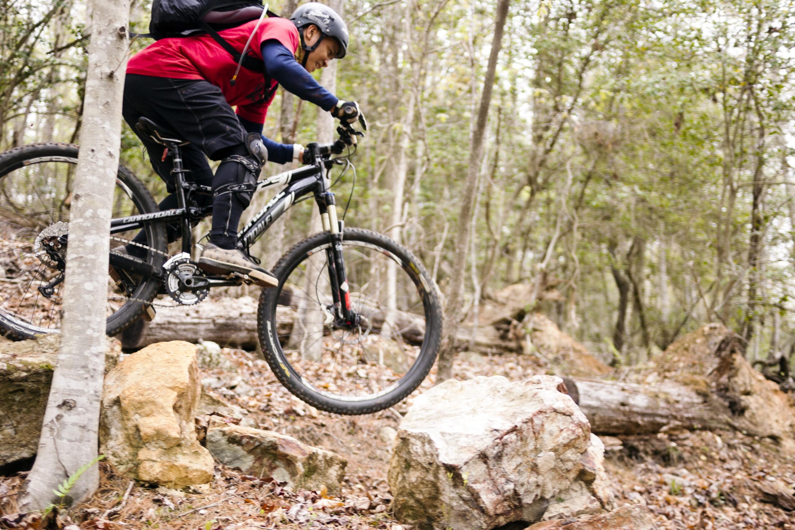 A mountain biker in a red shirt and helmet is jumping over a large rock while riding through a wooded trail with trees and fallen logs in the background. Warrior Creek mountain bike trail.