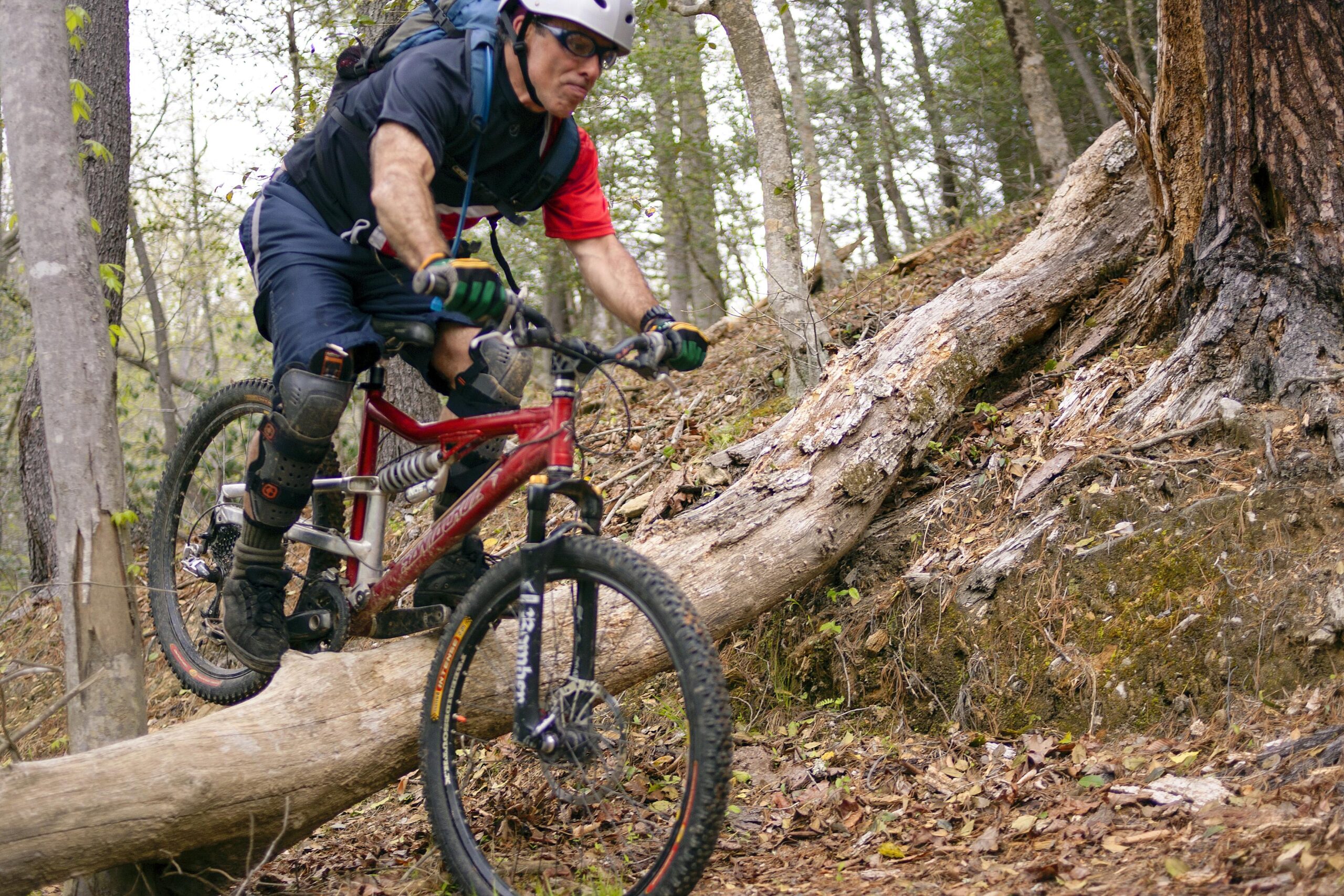 A mountain biker navigating a log on a forest trail, wearing protective gear and a helmet. The rider is focused as they balance on the bike, surrounded by trees and autumn leaves. Warrior Creek mountain bike trail.