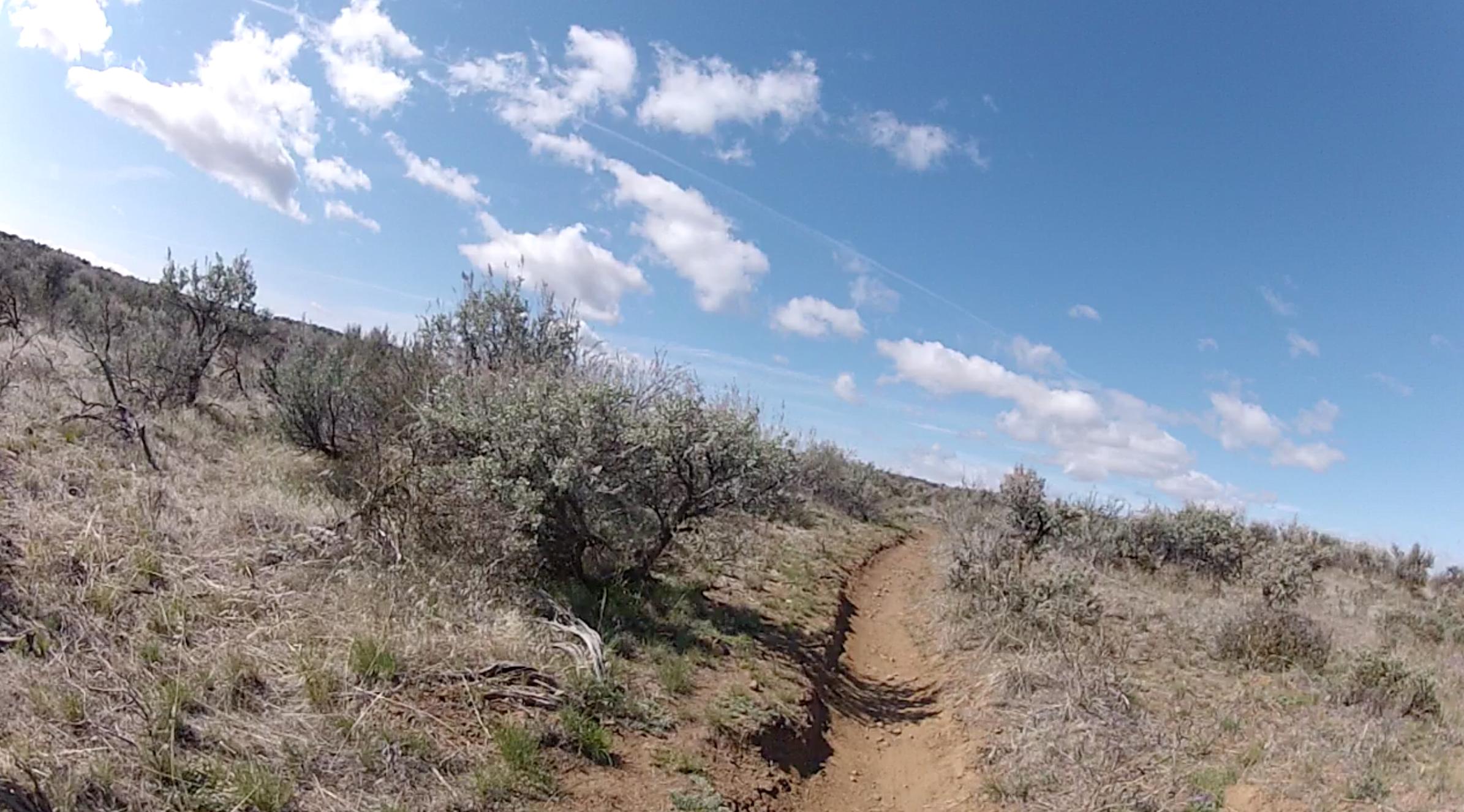 A dirt path winding through a sparse, grassy landscape with low shrubs and bushes under a clear blue sky dotted with fluffy white clouds. Cowiche Canyon mountain bike trail.