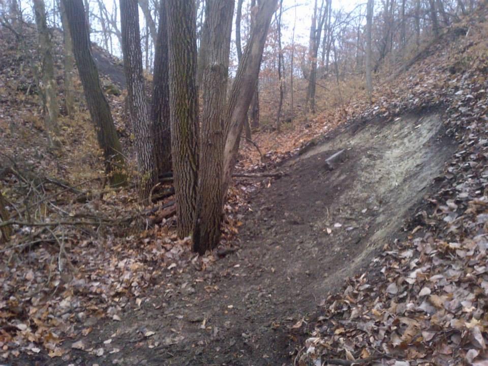 A wooded area in autumn, featuring bare trees with textured bark and a sloping ground covered with fallen leaves. The scene shows a gentle incline leading to a more elevated area, surrounded by underbrush and patches of exposed soil. The atmosphere appears calm and natural, with hints of a serene landscape typical of the season. Wildlife Prairie Park mountain bike trail.