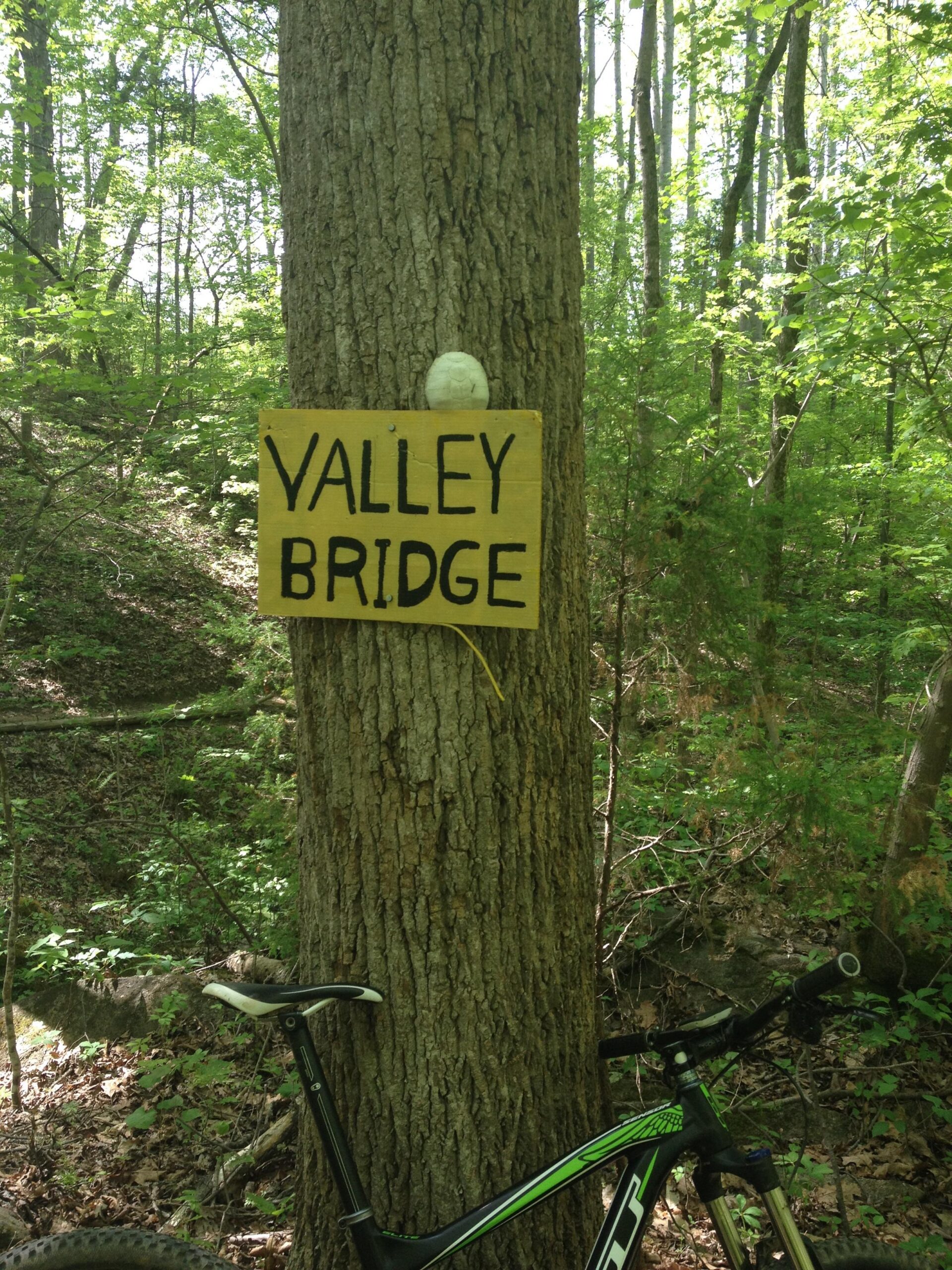 A wooden sign reading "VALLEY BRIDGE" attached to a tree in a lush green forest, with a bicycle leaning against the tree in the foreground. The scene is bright and natural, showcasing the surrounding foliage and sunlight filtering through the leaves. Rocky River Trail mountain bike trail.