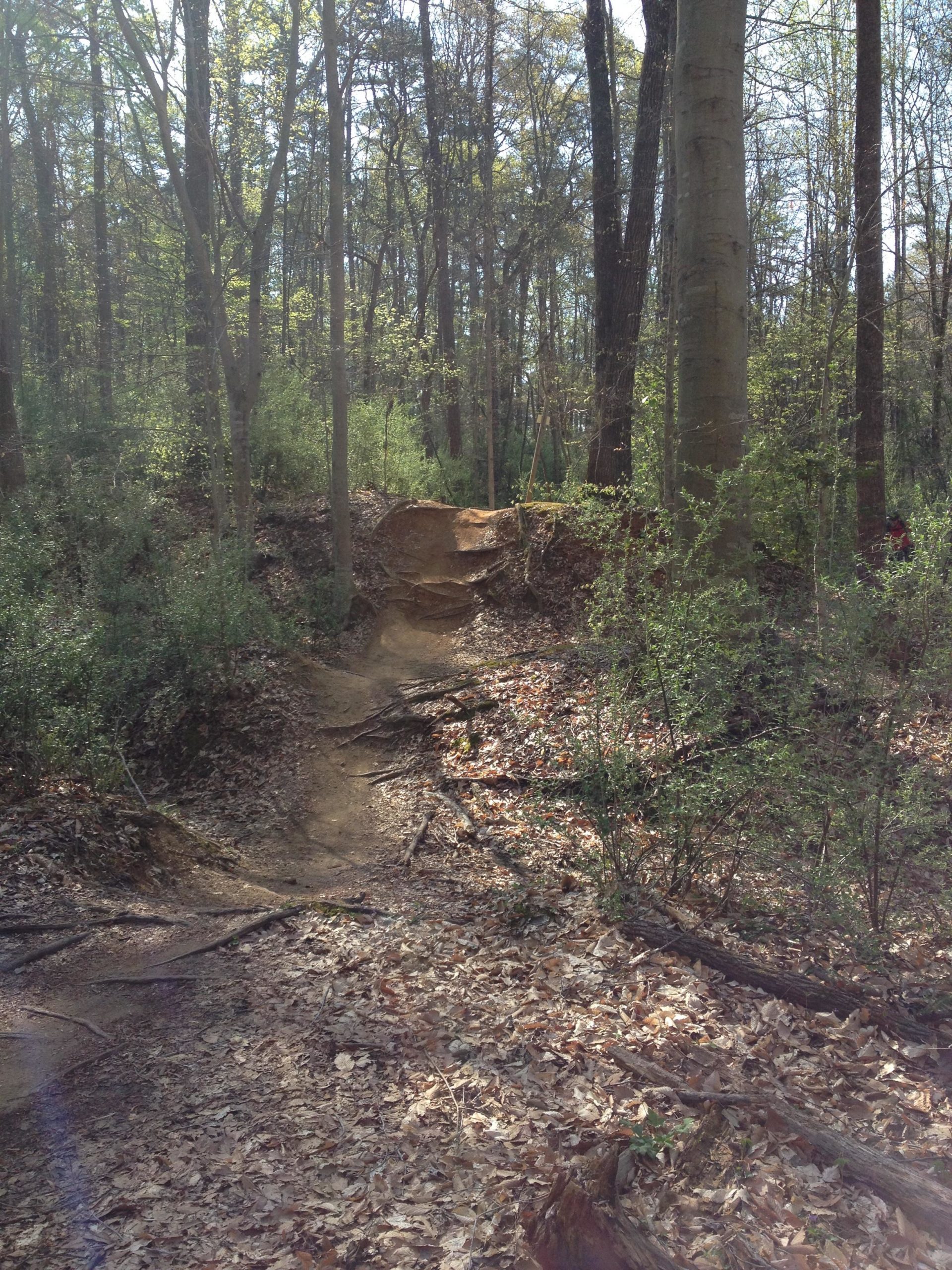 A dirt trail winding through a wooded area, surrounded by trees and greenery. The path is slightly elevated with exposed roots and scattered leaves on the ground, indicating a natural forest environment. Sunlight filters through the tree canopy, creating a serene atmosphere. USNWC mountain bike trail.