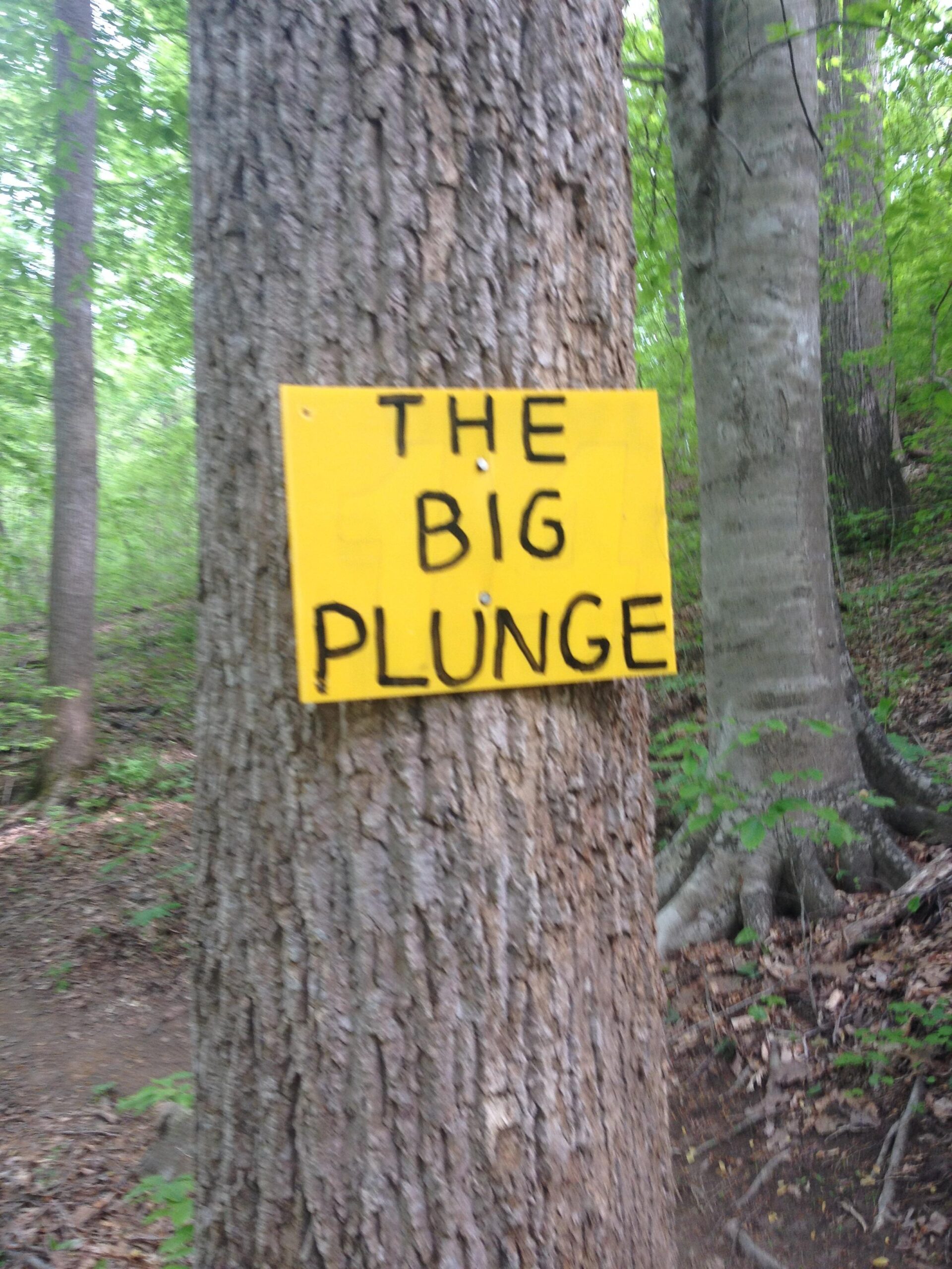 A bright yellow sign with bold black lettering that reads "THE BIG PLUNGE," attached to a tree in a wooded area. The background features green foliage and other trees, indicating a natural trail or outdoor adventure setting. Rocky River Trail mountain bike trail.
