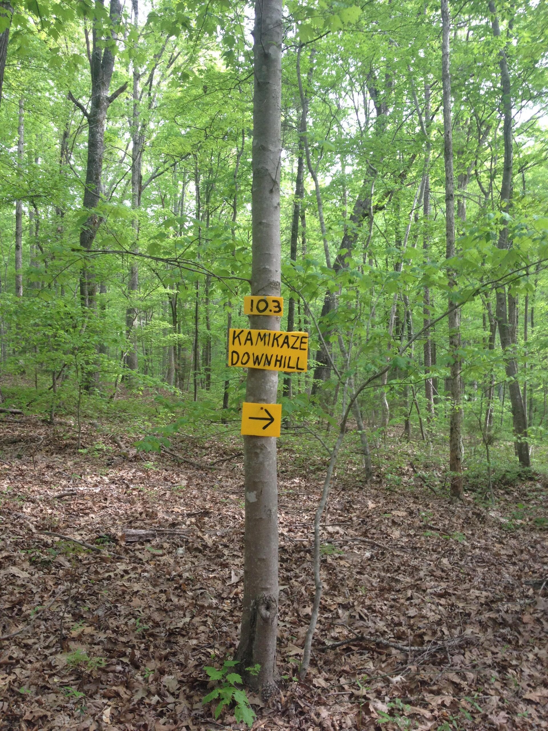 A forest setting featuring a tree with a yellow sign that reads "10.3 KAMIKAZE DOWNHILL" and an arrow pointing to the right. The ground is covered with brown leaves, and the background consists of green trees and foliage. Rocky River Trail mountain bike trail.