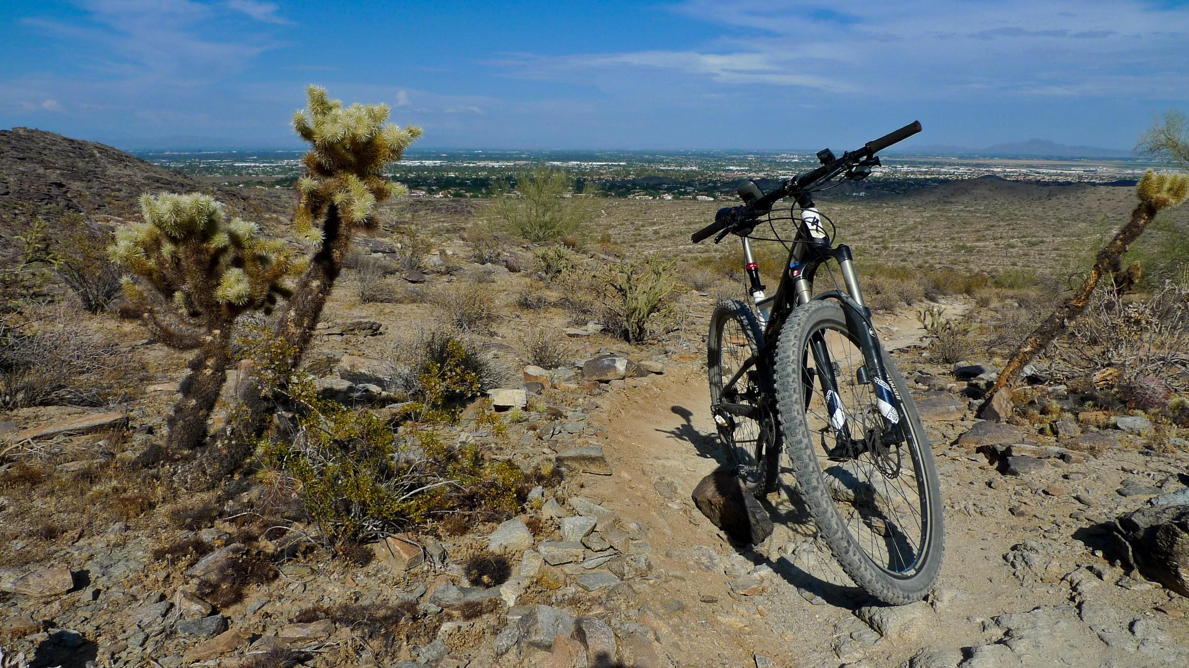 Specialized Stumpjumper FSR Comp 29: Mountain bike parked along a rocky desert trail with cacti in the foreground and a vast view of a valley and city in the background under a clear blue sky.