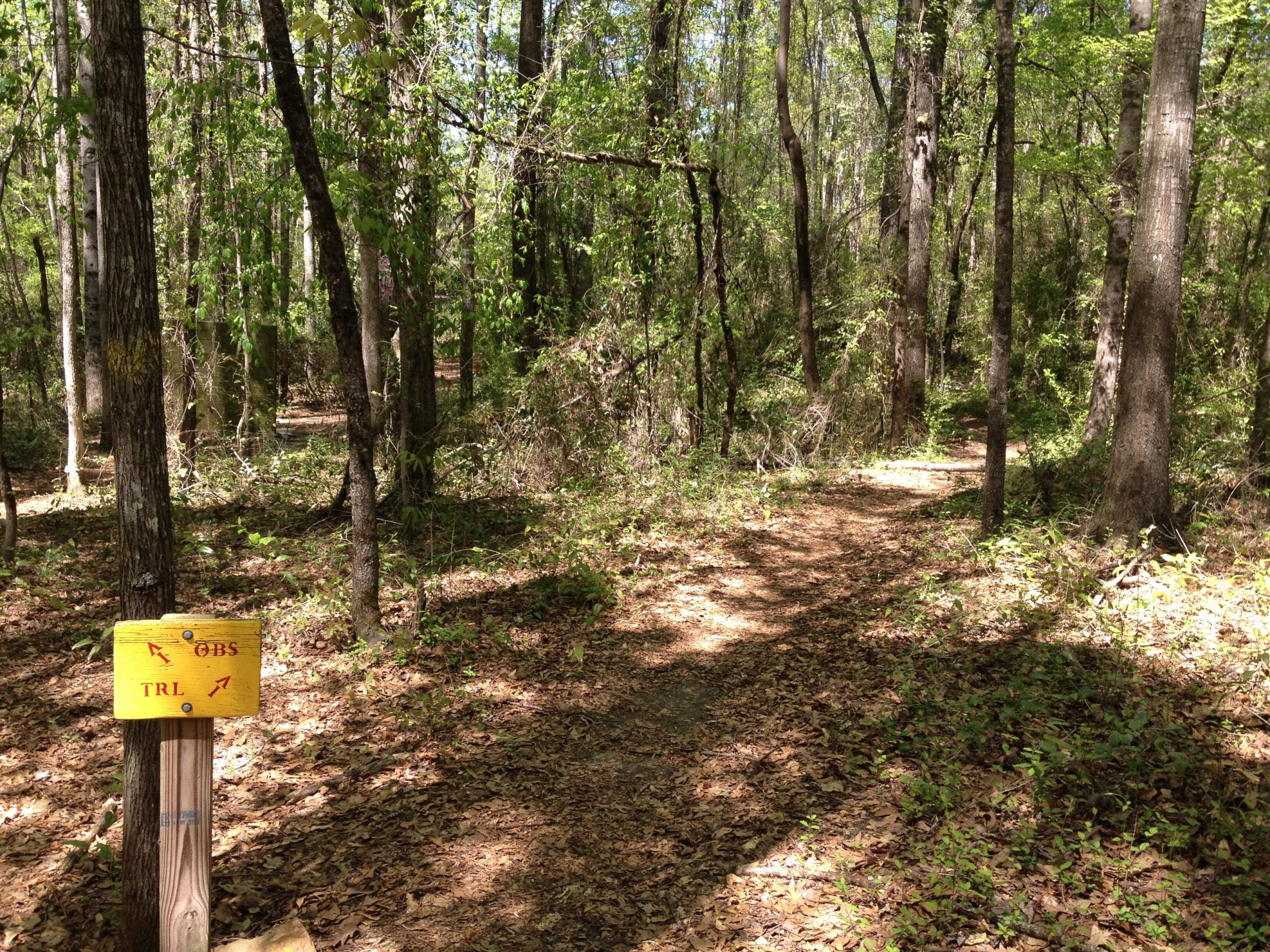 A wooded trail in a sunlight-dappled forest with a yellow trail sign indicating directions. The path is lined with fallen leaves and surrounded by tall trees and lush greenery. ROTC trail mountain bike trail.