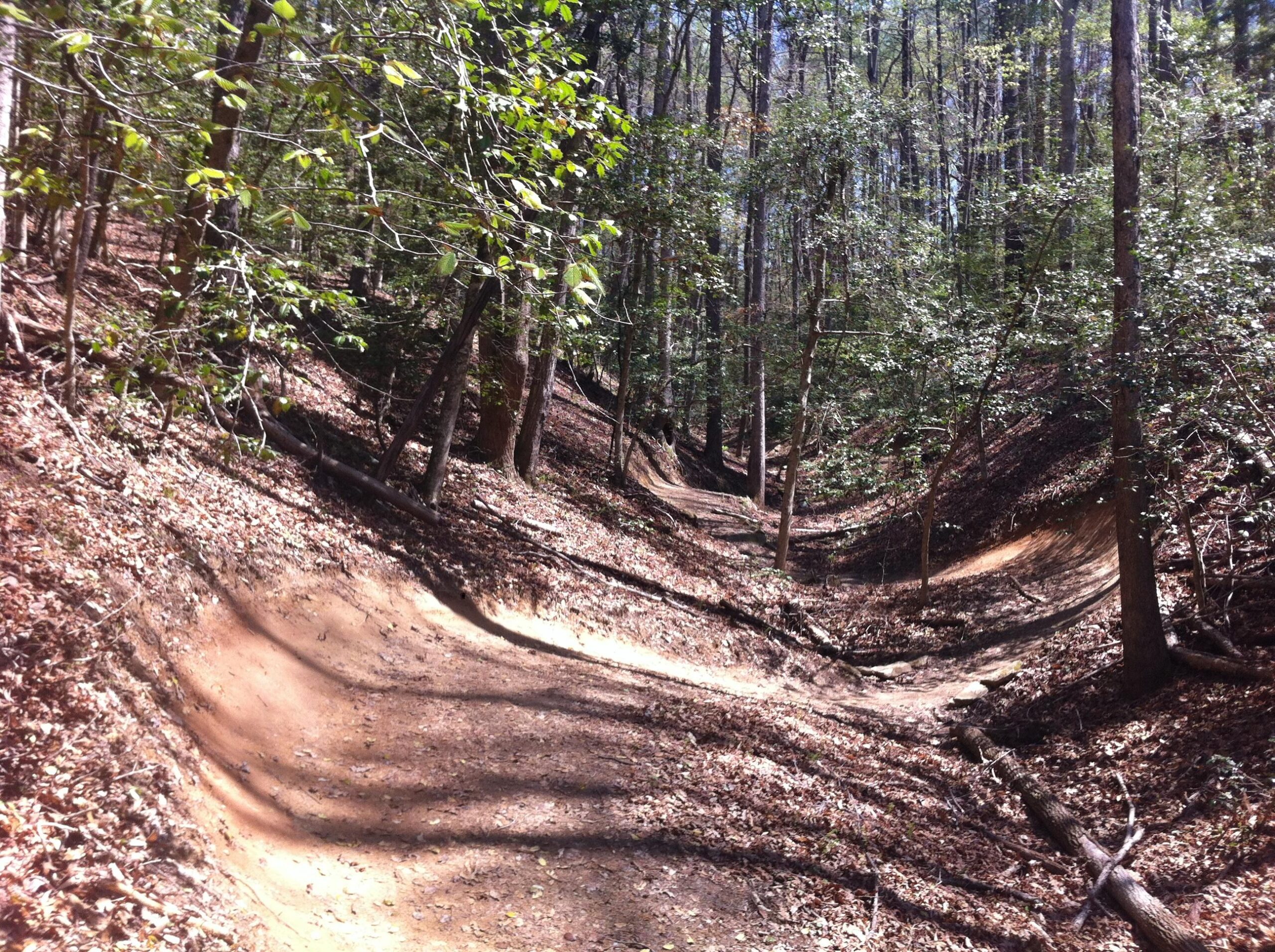A dirt path winding through a wooded area, flanked by trees with green leaves and fallen leaves scattered on the ground. The scene is well-lit, suggesting a sunny day, and the terrain has gentle slopes leading into a valley-like formation. Warrior Creek mountain bike trail.