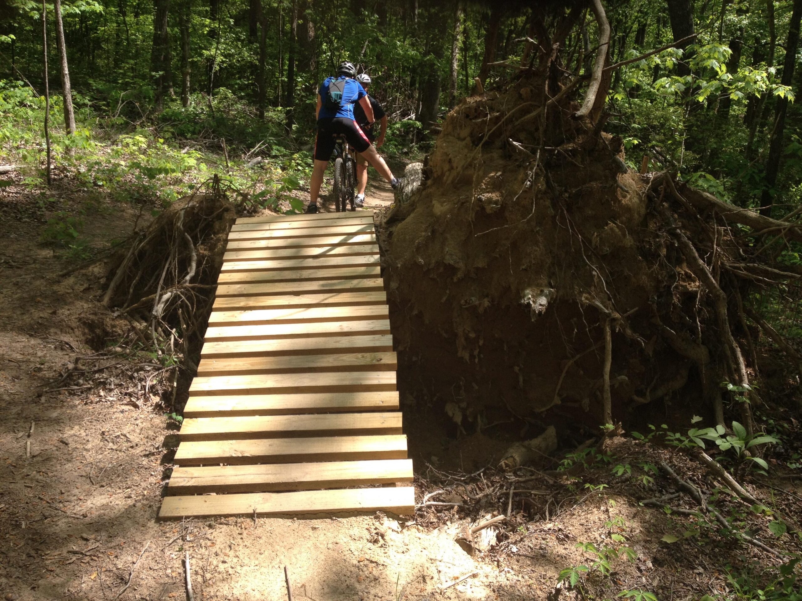 A mountain biker navigating a wooden bridge that spans a gap created by an uprooted tree in a dense forest. Sunlight filters through the trees, illuminating the surrounding greenery. Rocky River Trail mountain bike trail.