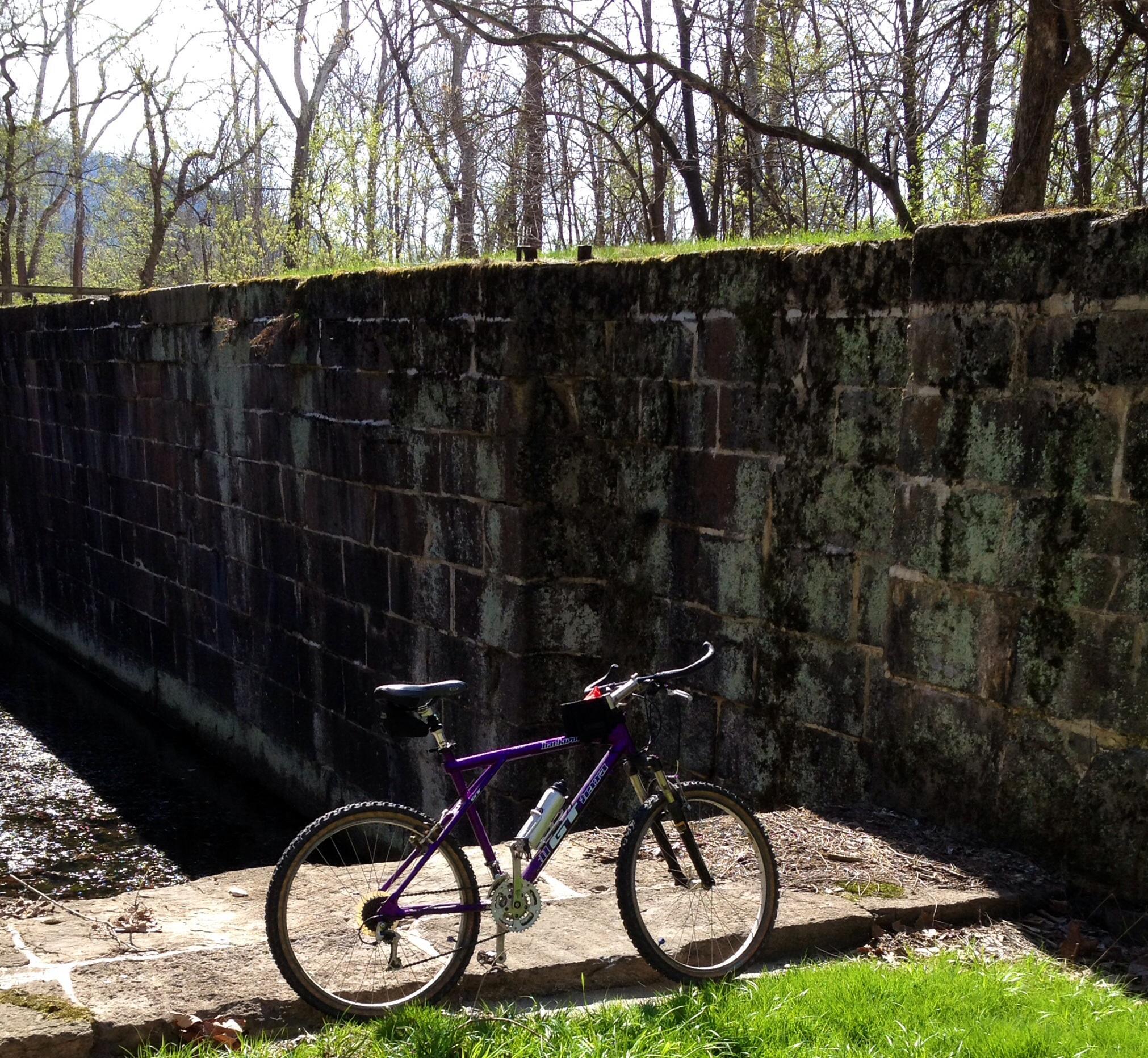 GT Backwoods: A purple mountain bike resting on a stone path beside a moss-covered stone wall, with trees in the background and a glimpse of water in a canal nearby. The scene is illuminated by sunlight, suggesting a serene outdoor environment.