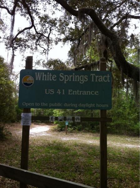 Sign marking the entrance to White Springs Tract located on US 41, stating that it is open to the public during daylight hours. The sign is surrounded by trees and natural foliage. White Springs Tract mountain bike trail.