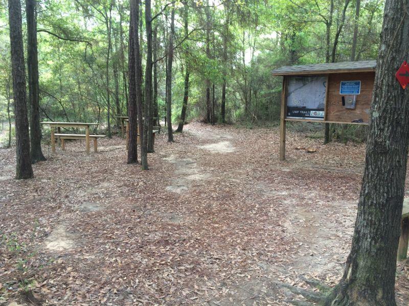 A dirt path leading into a wooded area, with picnic tables on the left and an information sign on the right showing a trail map. The ground is covered with fallen leaves, and the scene is surrounded by trees. UWF Mountain Bike Trails mountain bike trail.
