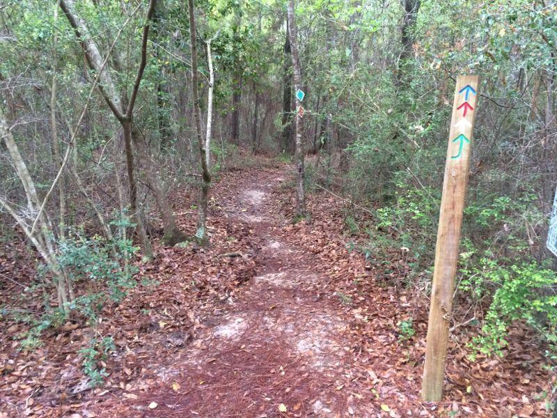A narrow dirt path winding through a wooded area, surrounded by trees and underbrush. A wooden post beside the trail displays colored directional arrows (upward, downward, and straight) indicating the path options. The ground is covered with fallen leaves and pine needles, suggesting a natural and serene environment. UWF Mountain Bike Trails mountain bike trail.