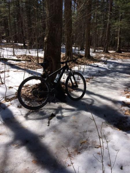 A mountain bike resting against a tree on a trail covered in ice and snow, surrounded by a forest of bare trees and fallen leaves. Sherrillbrook Park mountain bike trail.