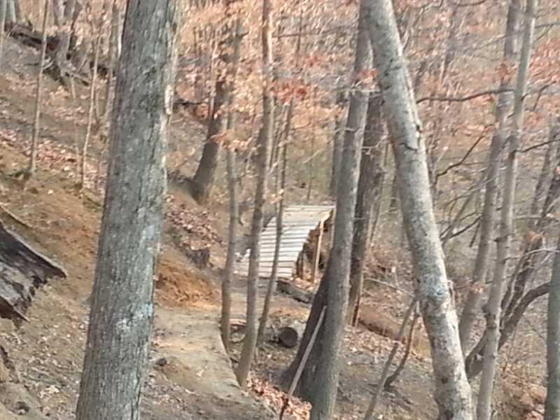 A wooden bridge crossing a small path in a wooded area with sparse trees and dry leaves, surrounded by a natural landscape. Gunn Park Trails mountain bike trail.