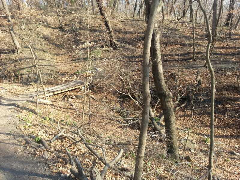 A peaceful forest scene featuring a small wooden bridge crossing over a dry creek bed, surrounded by leaf-covered ground and bare trees. The setting suggests early spring or late autumn, with scattered leaves and a natural path leading through the woodland. Gunn Park Trails mountain bike trail.