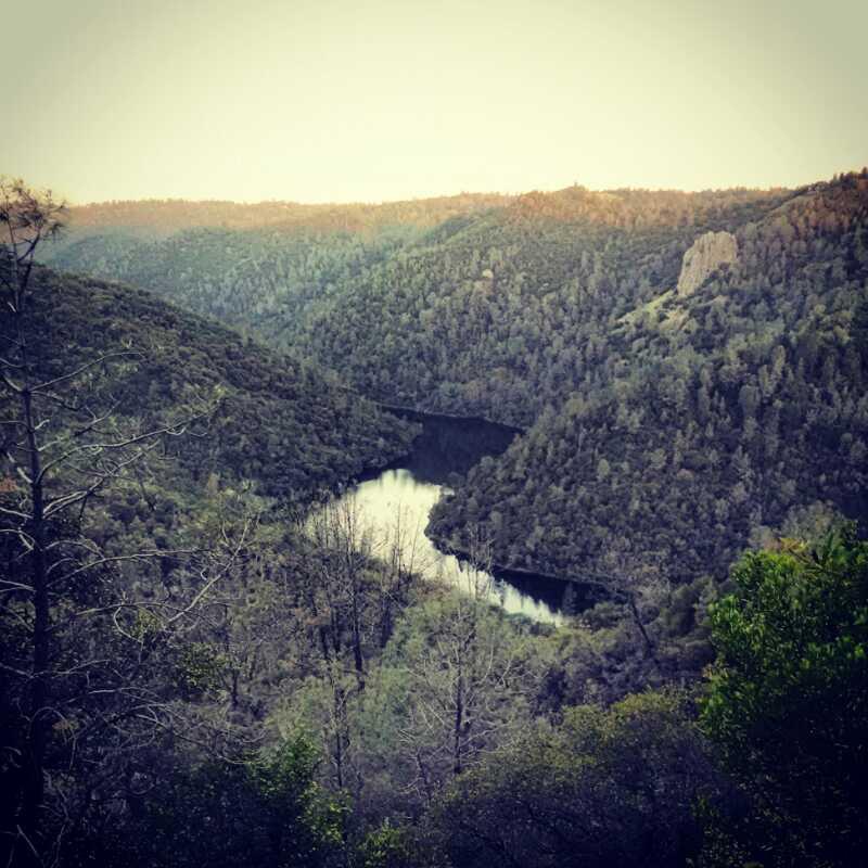 A panoramic view of a serene forested landscape, featuring a winding river surrounded by hills and dense greenery. The scene captures the peacefulness of nature, with hints of sunlight filtering through the trees, creating a tranquil atmosphere. Clementine / Forresthill Connector Trail mountain bike trail.