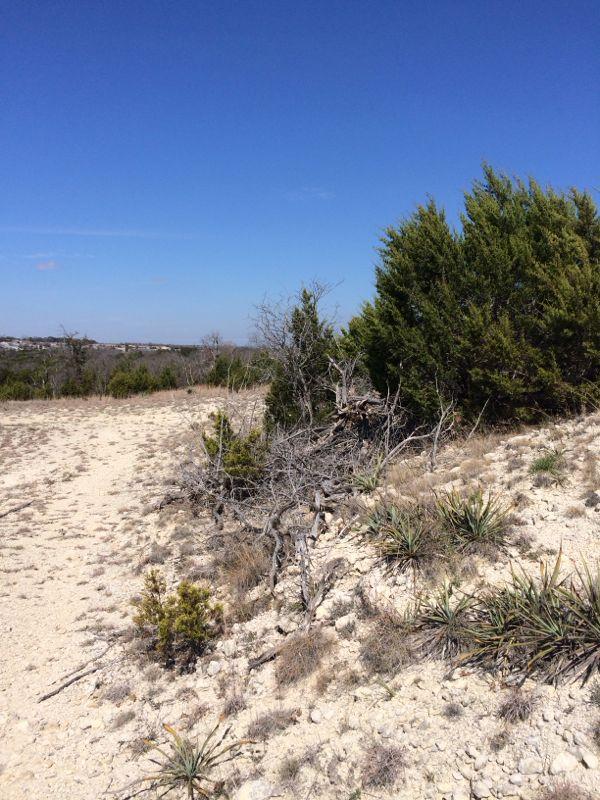 A scenic view of a dry landscape featuring sandy soil, sparse vegetation, and a clear blue sky. The foreground includes a mix of shrubs and small trees, with a winding path leading into the distance. The background displays a gentle slope and more greenery, suggesting a natural setting. Outback mountain bike trail.