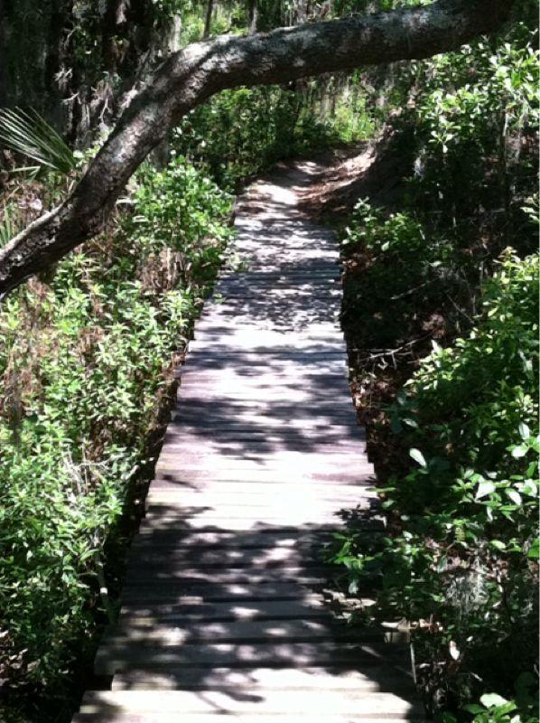 A wooden boardwalk winding through a lush green forest, surrounded by trees and foliage, with dappled sunlight creating shadows on the path. Alafia River State Park mountain bike trail.