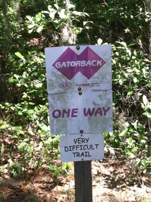 Sign indicating the "Gatorback" trail, marked with a pink diamond symbol and the words "ONE WAY" and "VERY DIFFICULT TRAIL," surrounded by green foliage in a wooded area. Alafia River State Park mountain bike trail.