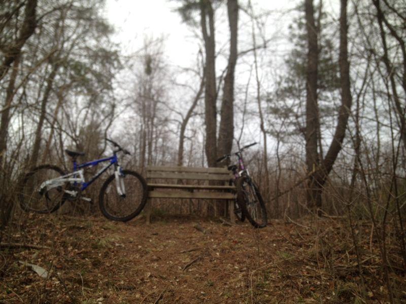 Two mountain bikes are parked on either side of a wooden bench in a wooded area. The scene is calm and surrounded by trees with bare branches, indicating early spring or late autumn. The ground is covered in brown leaves and pine needles, adding to the natural setting. The lighting is overcast, giving a muted atmosphere to the peaceful landscape. Holdridge Recreation Area mountain bike trail.
