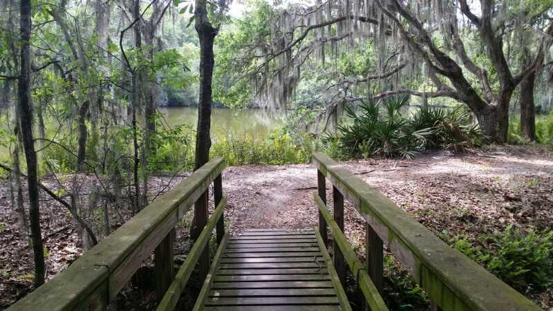 A wooden bridge leading to a serene riverbank, surrounded by lush greenery and hanging Spanish moss. The view shows a calm body of water partially obscured by foliage, with soft sunlight filtering through the trees. Balm Boyette Scrub Preserve mountain bike trail.