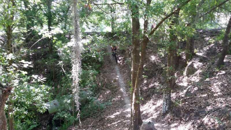 A wooded area with a narrow dirt path leading down a slope, surrounded by green trees and foliage. Sunlight filters through the leaves, creating dappled light on the ground. In the background, a person can be seen biking along the path, emphasizing the natural setting. Balm Boyette Scrub Preserve mountain bike trail.