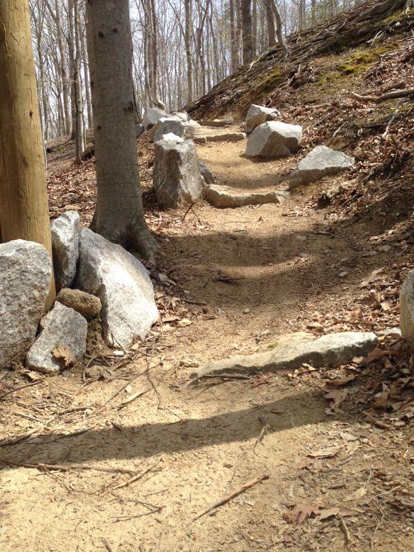 A narrow dirt path winding through a forest, bordered by scattered rocks and trees. Sunlight filters through the branches, illuminating the earthy trail lined with fallen leaves. Fountainhead Regional Park mountain bike trail.