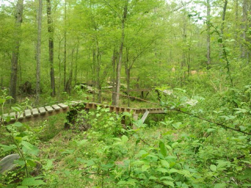A winding wooden pathway meanders through a lush green forest filled with young trees and dense foliage, creating a serene and inviting natural setting. Enterprise South mountain bike trail.