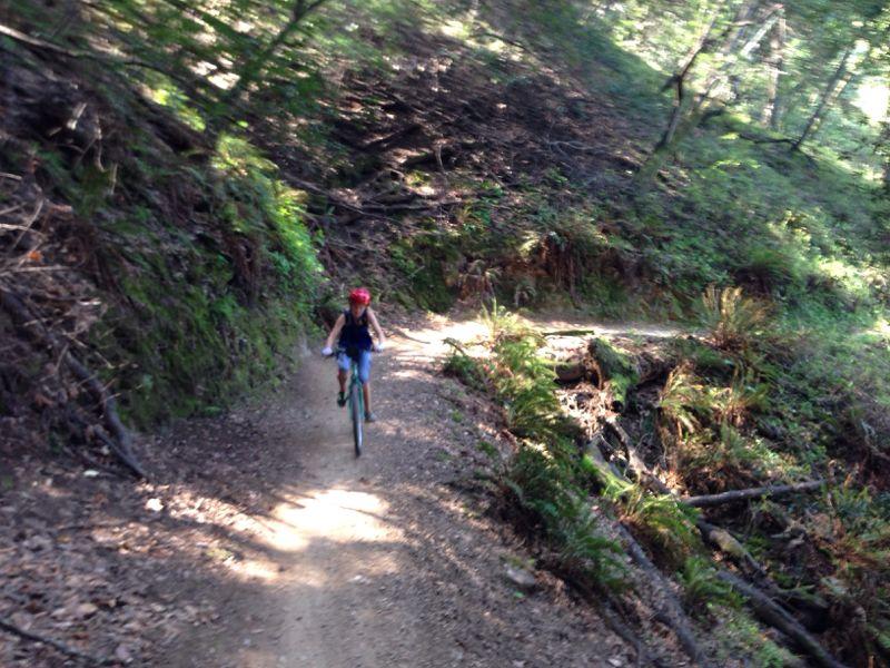A person riding a bicycle on a dirt trail surrounded by greenery and sunlight filtering through the trees. The trail is winding and covered in leaves, with ferns and logs visible along the path. The cyclist is wearing a helmet and casual attire. China Camp mountain bike trail.
