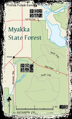 Map of Myakka State Forest in Sarasota County, Florida. The map includes various features such as roads, trails, and points of interest like campsites and picnic areas. The legend indicates park facilities and pathways, providing a guide for visitors. Palmetto Trail mountain bike trail.