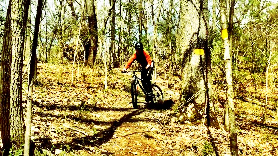 A cyclist navigating a dirt bike trail surrounded by trees in a wooded area, with fallen leaves on the ground and yellow trail markers visible on nearby trees. Wildwood Trails mountain bike trail.