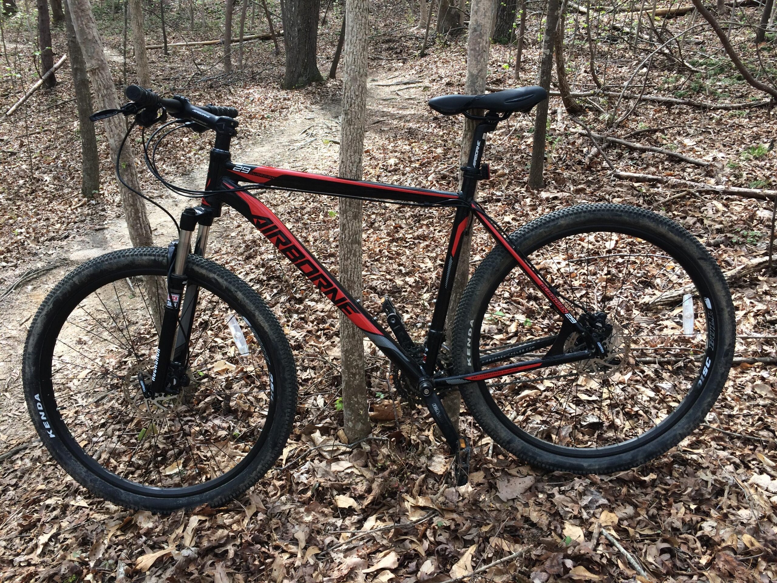 Airborne Guardian: A mountain bike with a black and red frame is leaning against a tree in a forested area, surrounded by dry leaves. The bike features thick tires designed for off-road terrain. The background shows a winding dirt path through the woods.