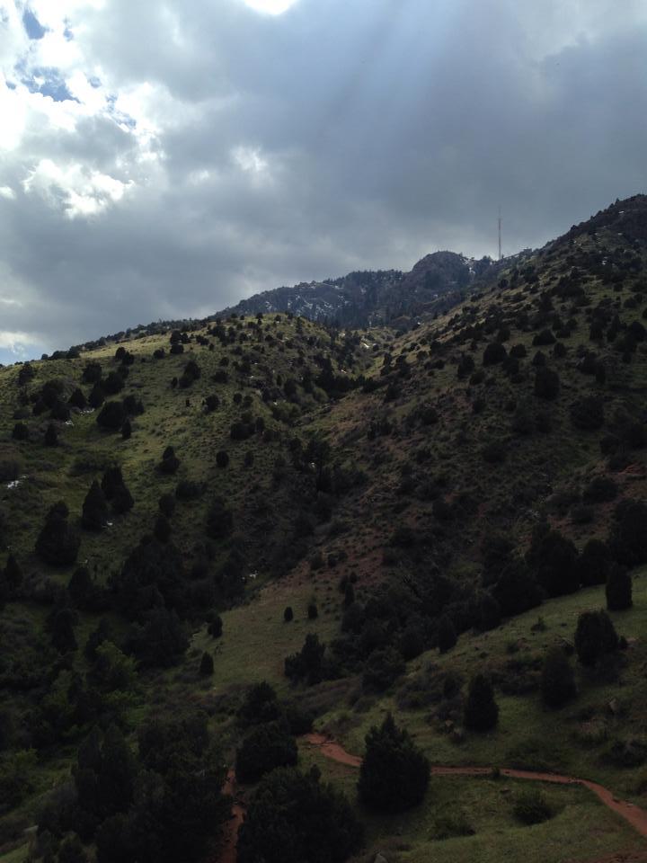 A scenic view of rolling hills covered in green vegetation and scattered trees, under a cloudy sky. The distant mountains are partially visible, with a communication tower peeking out from the summit. A winding path runs through the foreground, inviting exploration of the natural landscape. Red Rocks / Dakota Ridge mountain bike trail.