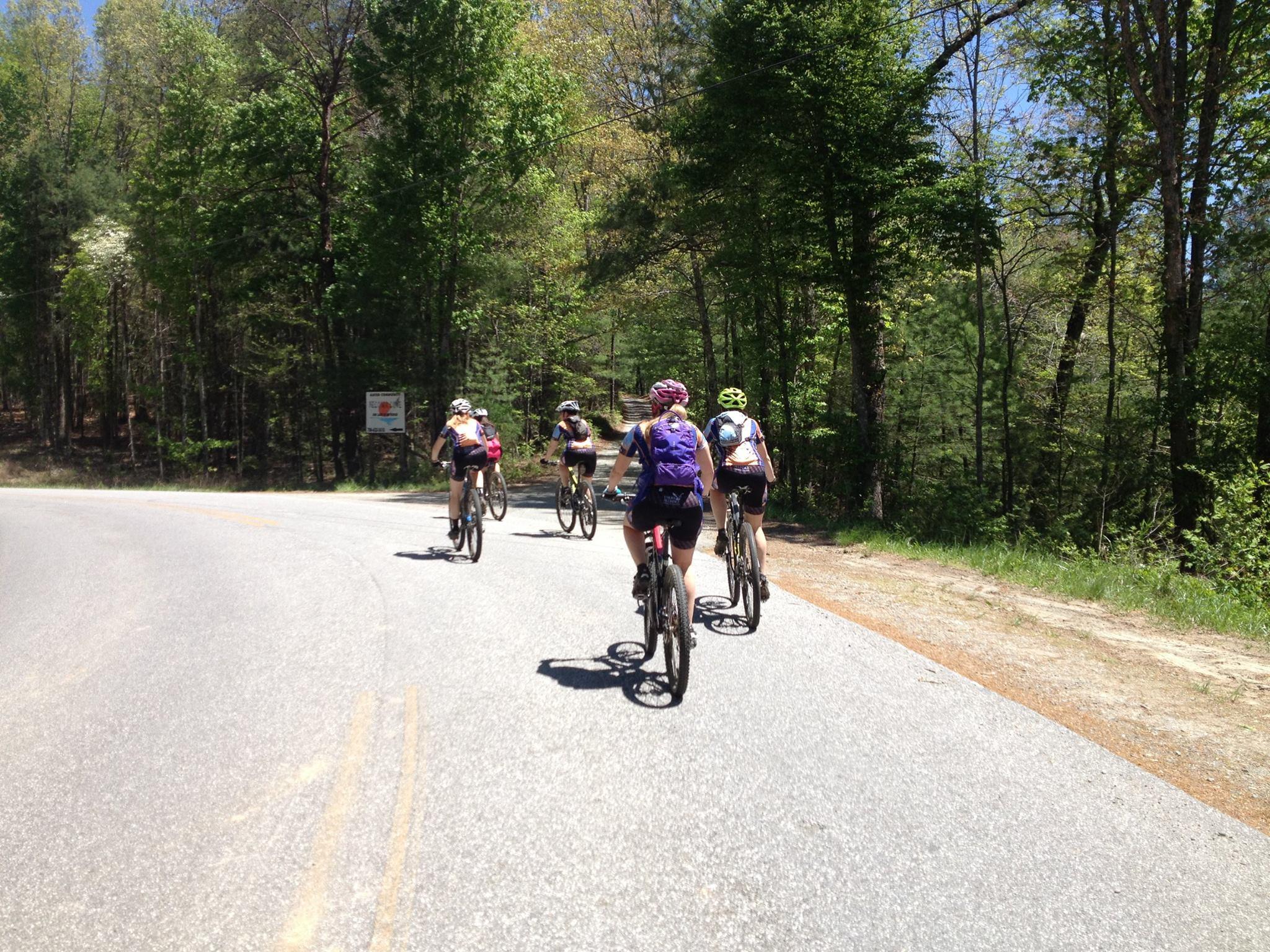 A group of mountain bikers riding along a winding road in a wooded area. The scene is sunny, with lush green trees lining both sides of the road. The cyclists wear helmets and backpacks, and they are seen from behind as they navigate the turn.