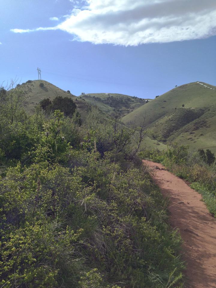 A scenic view of rolling green hills under a blue sky with fluffy clouds, featuring a dirt trail winding through lush greenery and shrubs. Power lines are visible on the hills in the background. Red Rocks / Dakota Ridge mountain bike trail.