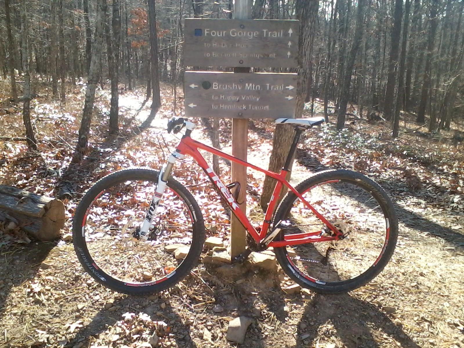 A mountain bike leaning against a wooden trail sign surrounded by trees and fallen leaves, indicating directions for Four Gorge Trail and Brush Mountain Trail. Sunlight filters through the forest, illuminating the bike and the trail markers. Carvin's Cove Trail system mountain bike trail.