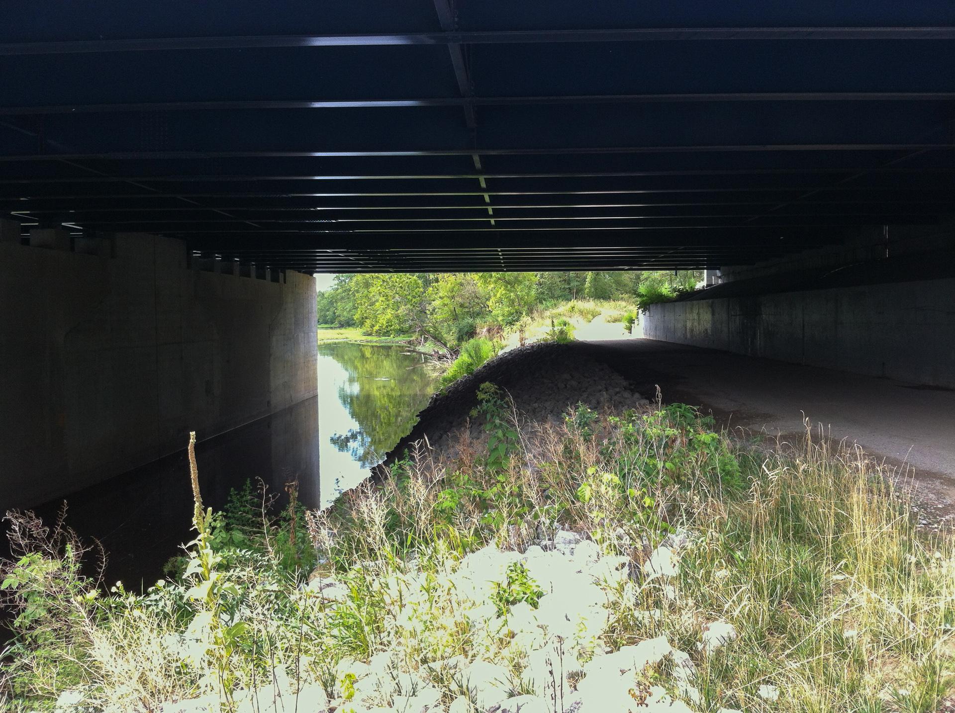 A view from under a bridge, showcasing the underside of a dark steel framework. The left side features a concrete wall, while the right side opens to a grassy area with a narrow path leading away. A calm river reflects the greenery, bordered by foliage and grasses at the water's edge. Town Run Trail Park mountain bike trail.