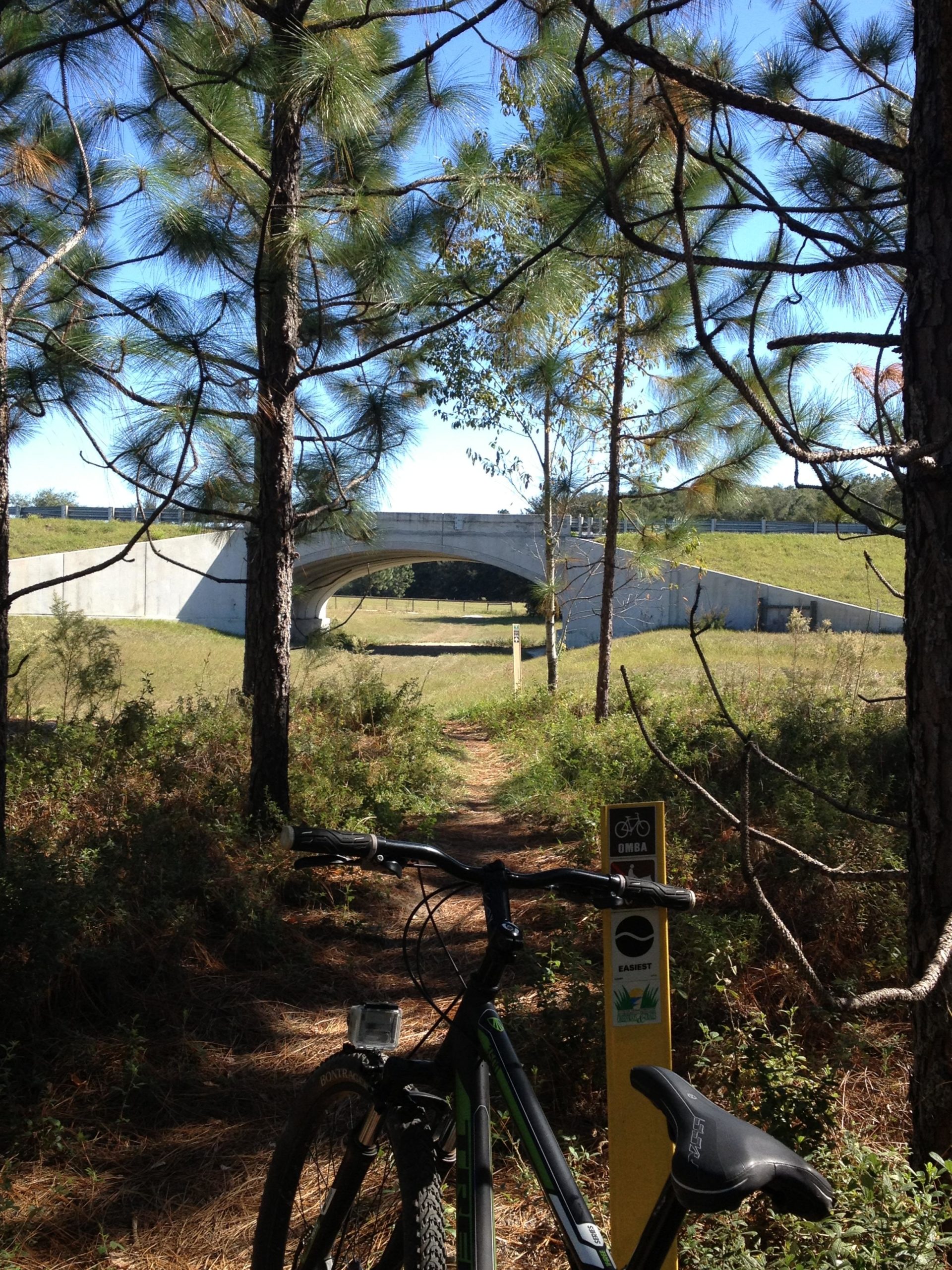 A sunny outdoor scene featuring a narrow dirt path leading towards a concrete bridge, framed by tall pine trees. In the foreground, a black mountain bike is parked beside a yellow trail marker indicating bike trails. The background shows an open grassy area and the blue sky above. Santos mountain bike trail.