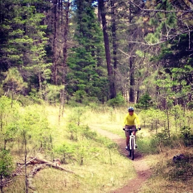 A person wearing a yellow long-sleeve shirt and a helmet is riding a mountain bike along a dirt trail surrounded by lush green trees in a forested area. The scene captures a sense of adventure and outdoor activity. Perk Canyon mountain bike trail.